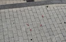pepers op de stoep