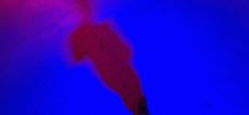 Silhouette op de vloer